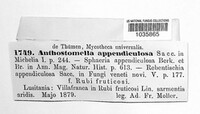 Anthostomella appendiculosa image